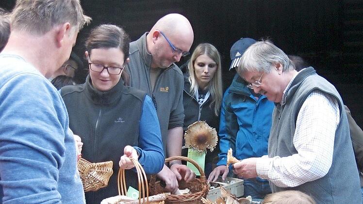Pilzkundler Herbert Stang (rechts) wird nach seiner Pilzf&uuml;hrung die gefundenen Exemplare am Ausgangspunkt bestimmen und Fragen der Teilnehmer beantworten. Foto: BN Ebern