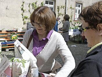 Tomatenpflanzen gab es auch kartonweise bei der Tauschbörse des Obst- und Gartenbauvereins Hammelburg. Foto: Winfried Ehling