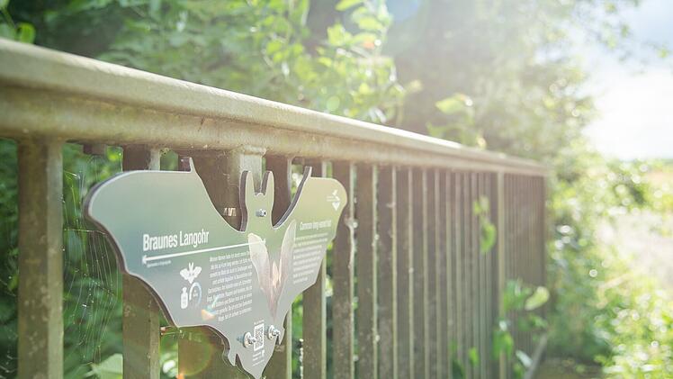 Ausflug auf dem Fledermausweg Viereth-Unterhaid