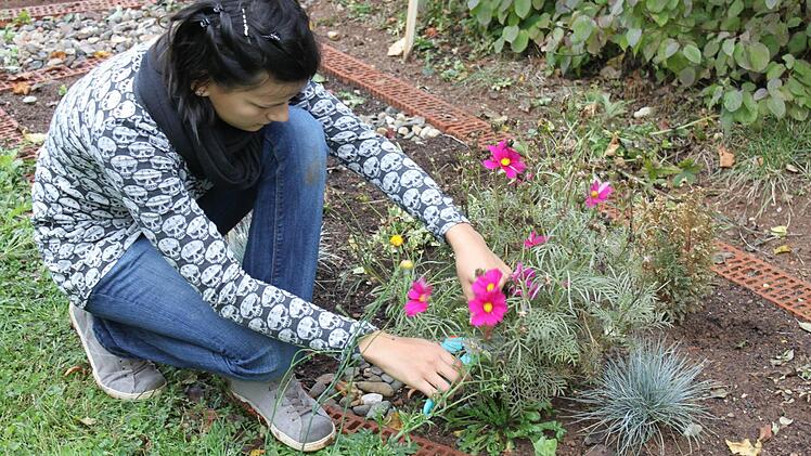 Emily kümmert sich im Berufsfeld Gartenbau um die Beete mit den Blumen. Foto: may