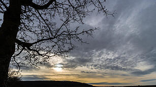 Fotos Konrad Thomann