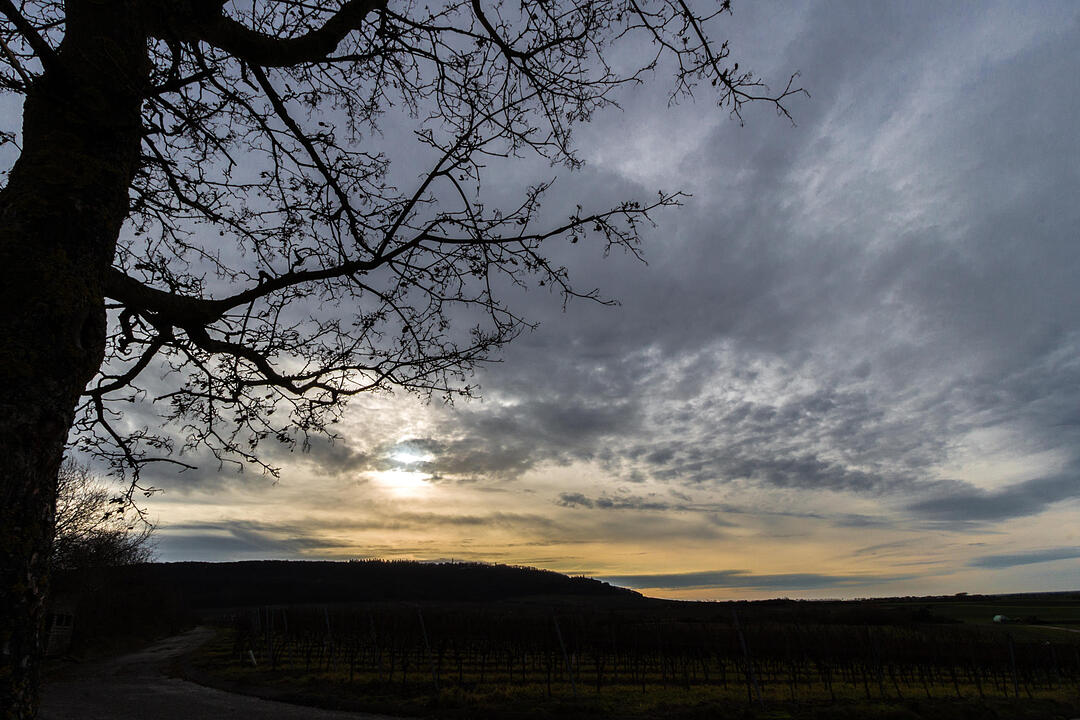 Fotos Konrad Thomann