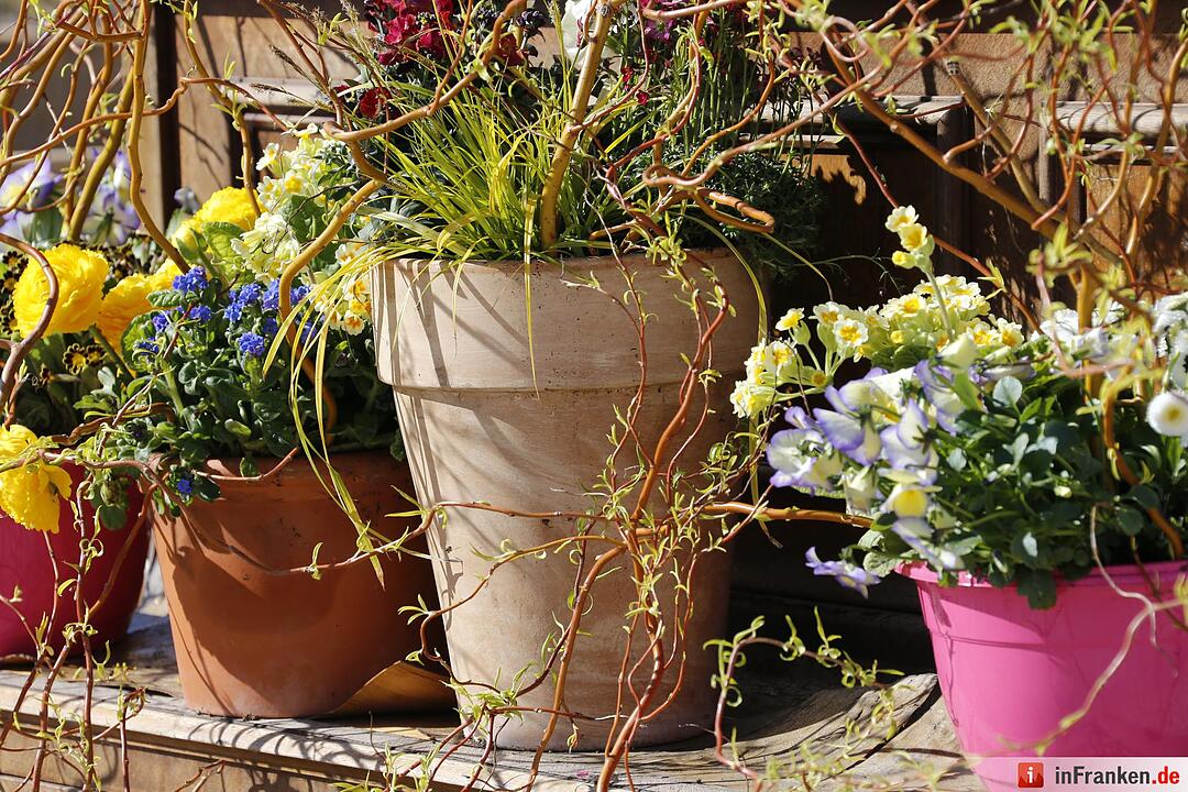 Blumen und mehr: Die Landegartenschau 2016 Bayreuth