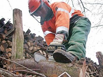Viel zu tun gibt es bei der Bewirtschaftung des Waldes. Den Einsatz der Forstleute zu steuern, ist eine Arbeit, der sich Ernst Hofmann für die Waldkörperschaft Wittighausen als Verantwortlicher mehr als 25 Jahre stellte. Foto: Jörg Taron dpa/lnw