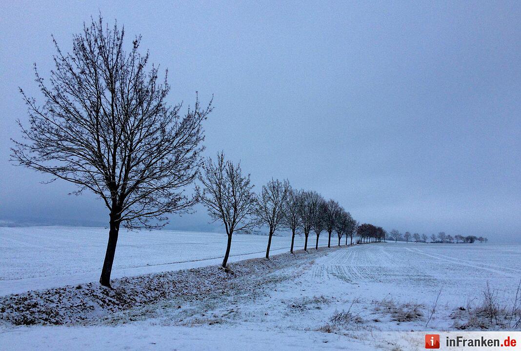 Schnee in Franken Januar 2017 - Leserfotos