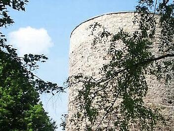 Im Herbst soll man den Magnusturm von Kasendorf aus wieder gut sehen und andersherum vom Turm aus den Blick ins Tal schweifen lassen können. Momentan ist alles zugewuchert.  Foto: privat