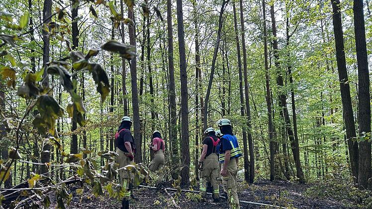 Waldbrand in Bamberg - Feuerwehr &uuml;ber Stunden im Einsatz