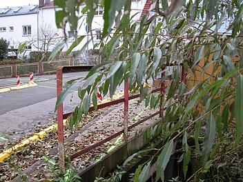 Die Überquerung der Peter-Henlein-Straße über den Marbach würde als Brücke gar nicht auffallen, wenn nicht gelbe Fahrzeugabweiser und viele farbige Markierungen ihre Lage und den beabsichtigten Neubau  verraten würden. Foto: Thomas Ahnert