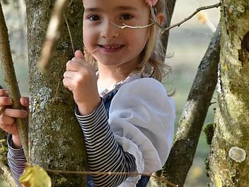 Waldkindergartenkind Amelie (5) auf ihrem Lieblingskletterbaum im Wurzelwald. Uschi Prawitz