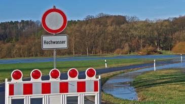 Symbolfoto: Werner Knoth