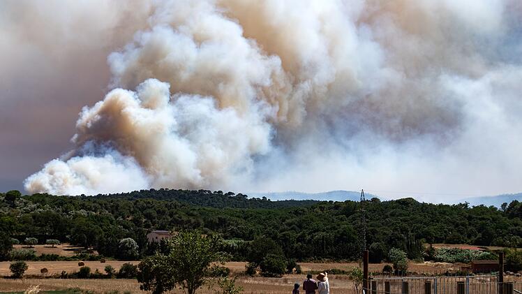 Waldbr&auml;nde in Spanien