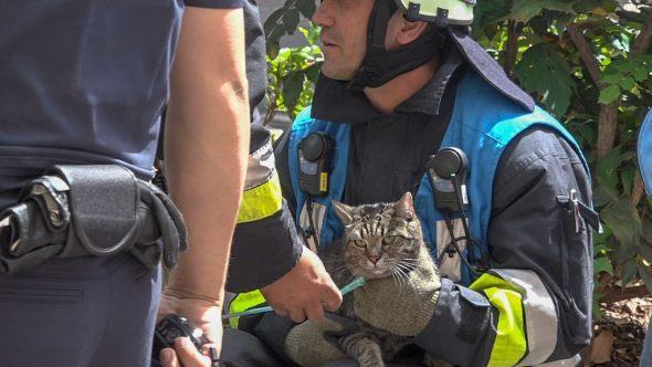 Nach der Rettung wurden die Tiere vorsorglich mit Sauerstoff versorgt. Sie kamen mit dem Schrecken davon. Foto: NEWS5 / Friedrich