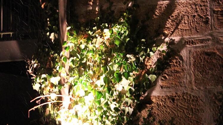 Krallenschatten an der Wand