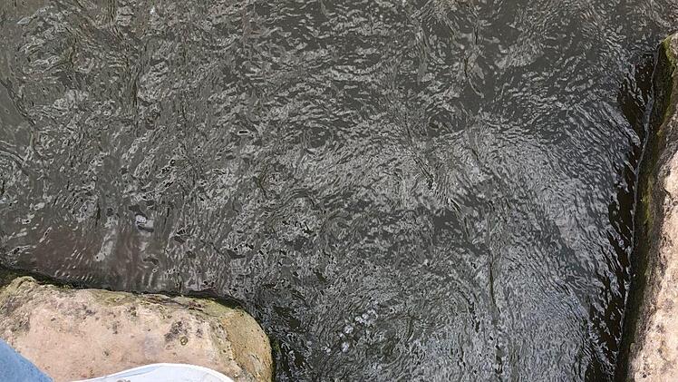 Immer am Wasser entlang! Der Weg vom Erba-Gel&auml;nde bis in die Altstadt ist wundersch&ouml;n. Foto: Sarah Biere
