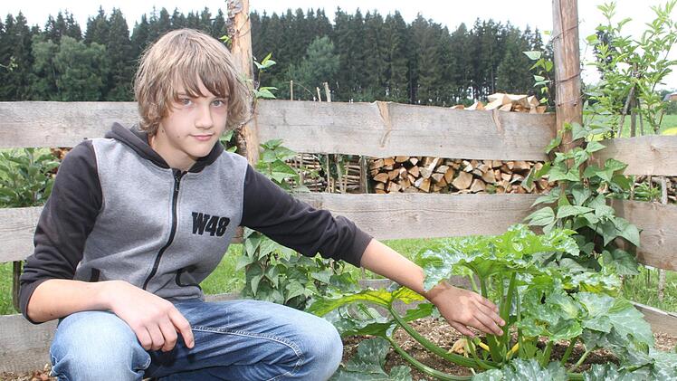 Oliver Lokies ist erst 13 Jahre alt, aber er hat schon einen eigenen Garten. Die Zucchini gedeihen in diesem Jahr besonders gut.