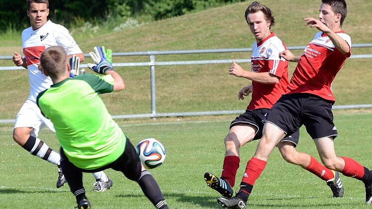 Zuvor hatte der Fußball-Nachwuchs aus Niederlindach, Dechsendorf und Röttenbach (weiße Trikots) den 1. FC Eschenau mit 6:4 besiegt.