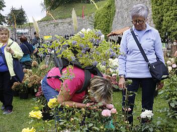er Duft der Rosen lockte viele Besucher nach Kronach. Fotos: Matthias Hoch