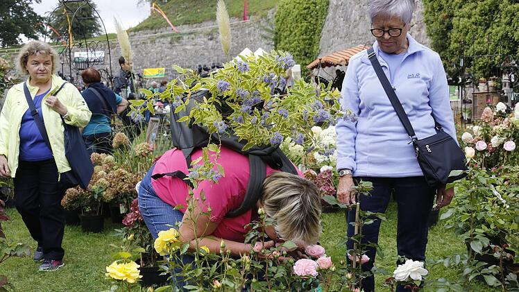 er Duft der Rosen lockte viele Besucher nach Kronach. Fotos: Matthias Hoch