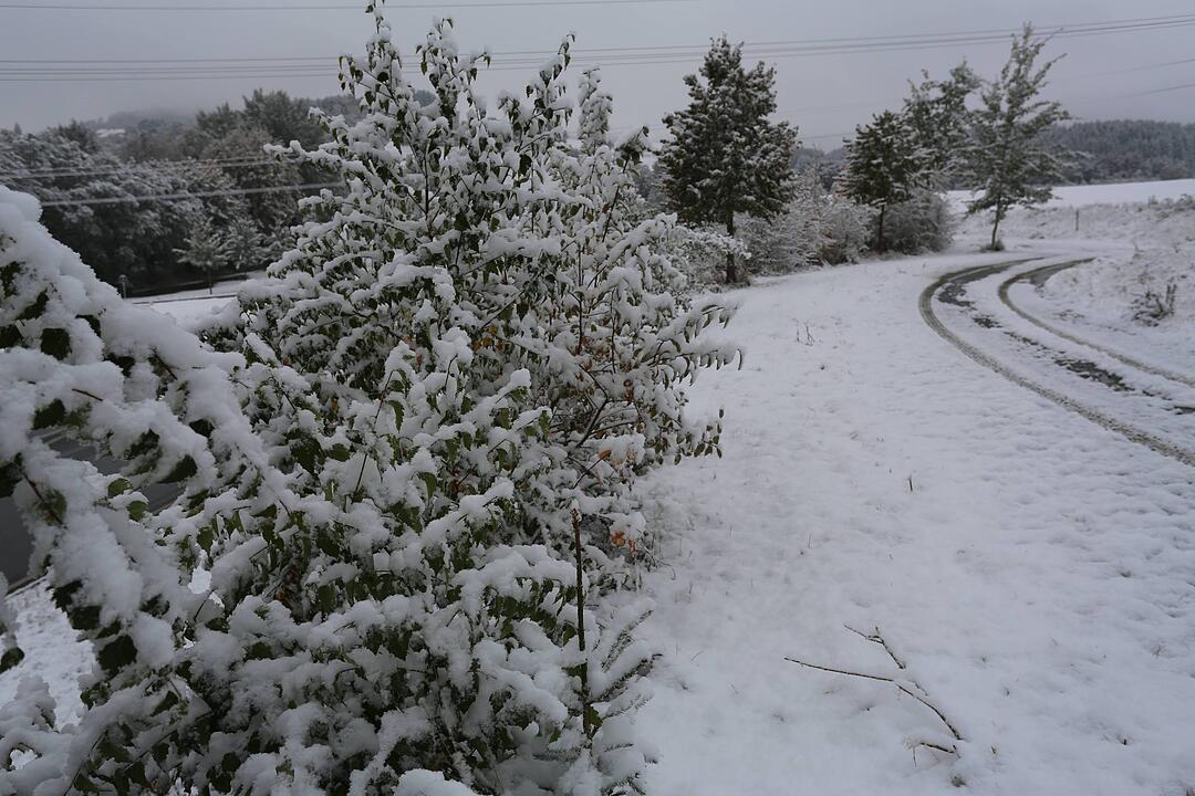 Erster Schneefall in Oberfranken