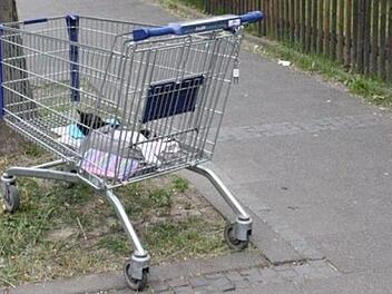 Die schwarze Katze liegt tot in einem Einkaufswagen: Am Donnerstag fanden Passanten das tote Tier zugedeckt im Korb des Einkaufswagen. Es ist keines nat&uuml;rlichen Todes gestorben. Foto: Kreispolizeibeh&ouml;rde Urna