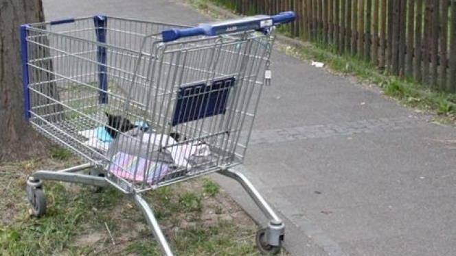 Die schwarze Katze liegt tot in einem Einkaufswagen: Am Donnerstag fanden Passanten das tote Tier zugedeckt im Korb des Einkaufswagen. Es ist keines nat&uuml;rlichen Todes gestorben. Foto: Kreispolizeibeh&ouml;rde Urna