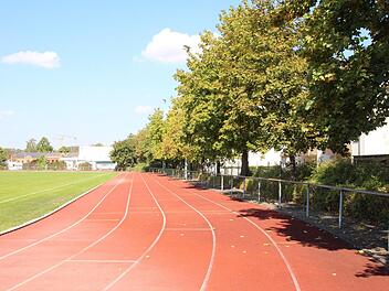 Blick auf die 400-Meter-Bahn der Benno-Benz-Sportanlage. Der Kunststoffbelag hat gelitten, und die Bäume haben schon den Weg neben der Anlage beschädigt. Foto: Simone Bastian
