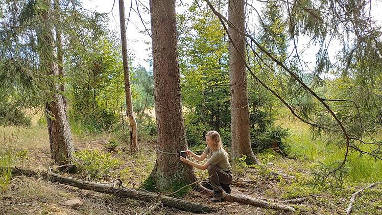 Amelie N&ouml;th ist seit 2020 Rangerin beim Verein Naturpark & Biosph&auml;renreservat Bayerische Rh&ouml;n e. V. (NBR).  Foto: Andreas G&ouml;ttler