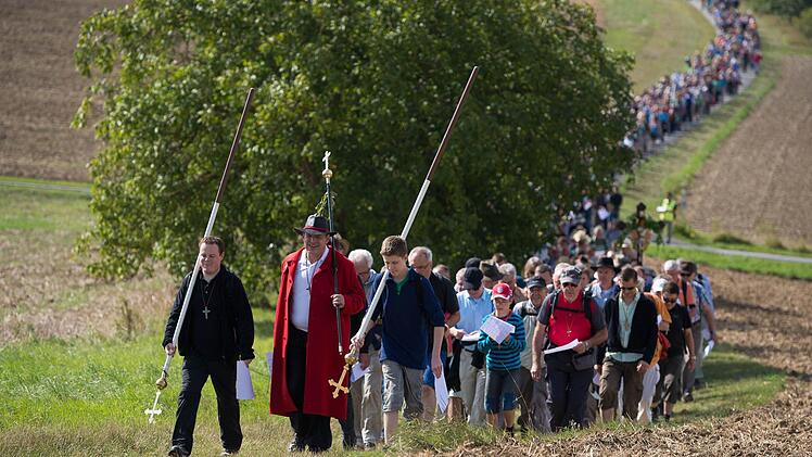 Die Würzburger Kreuzbergwallfahrer gestern auf einem Wiesenweg zwischen Gramschatz und Arnstein. Foto: Daniel Peter