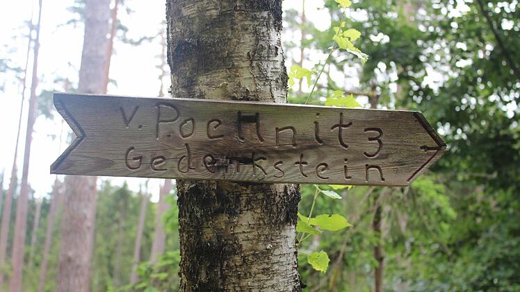 Leserwanderung im Hauptsmoorwald. Foto: Michael Memmel