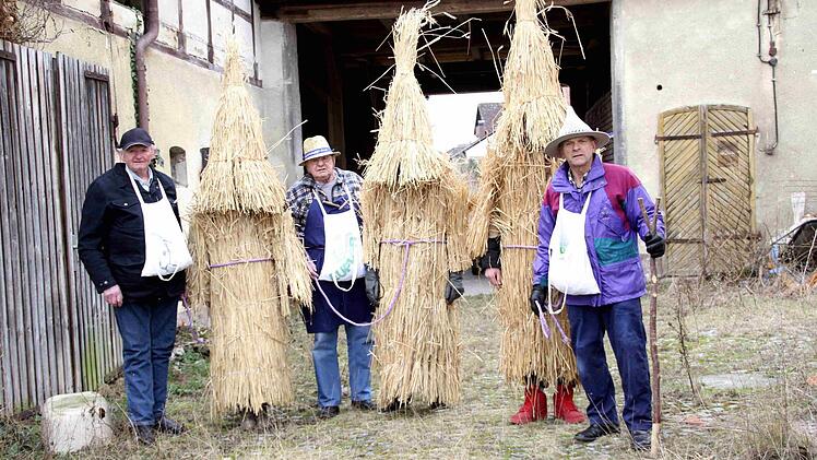 Impressionen vom Faschingsumzug der Weisendorfer Blummazupfer. Foto: Richard Sänger