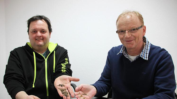 Veitshöchheimer Bienenweide heißt diese Blumenmischung. In dieser Mischung findet sich auch Saatgut, das Roland Dömling (rechts) erzeugt hat. Er und der Imkverereinsvorsitzende Dieter Schölzke hoffen, dass im Sommer 2019 möglichst viele Blumen entlang von Wegrändern, Acker-streifen und in Gärten blühen. Foto: Heike Beudert