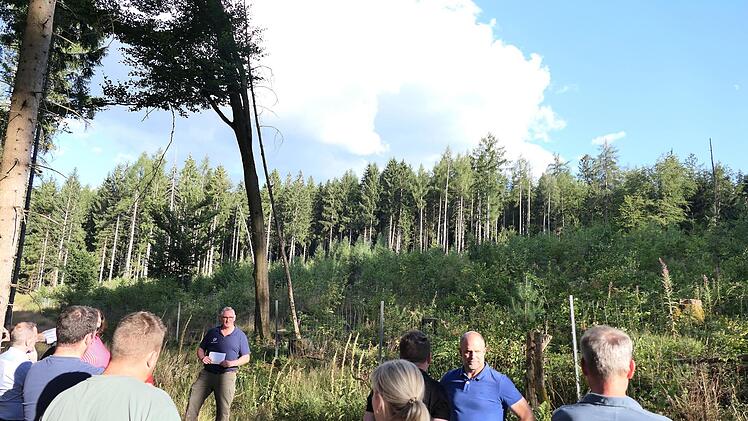 Im &bdquo;Sch&auml;fereifeld&ldquo; zeigte Revierleiter Markus S&ouml;der von der FBG dem Gemeinderat, wie gut sich dort bislang die Waldumwandlung gemacht hat. Statt der Monokultur Fichte entsteht dort nun ein Mischwald. Stephanie Elm