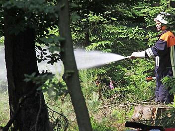 Ein Feuerwehrmann löscht im Neuwirtshauser Forst.Fotos: Gerd Schaar