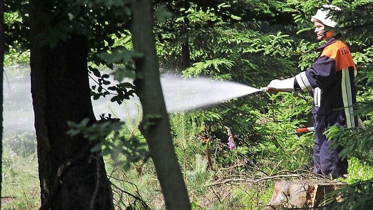 Ein Feuerwehrmann löscht im Neuwirtshauser Forst.Fotos: Gerd Schaar