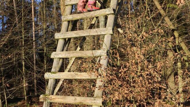 Foto: Barbara Herbst