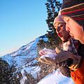 Zu einem Winter, wie aus dem Bilderbuch geh&ouml;rt Schnee: Schlittenfahren, Rodeln, Skifahren und vieles mehr sind dadurch m&ouml;glich. Symbolfoto: Blue Ox Studio/pexels.com