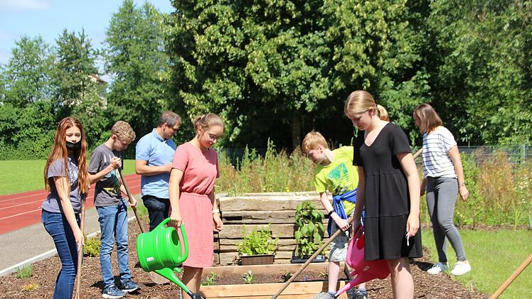 Gemüse und Kräuter im Schulgarten des Schönborn-Gymnasiums werden gegossen. Foto: Heike Beudert