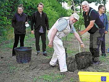Klaus Becker und Stefan Strasser pflanzten auf dem Bienenschutzacker bei der Soli einen Bienenbaum.
