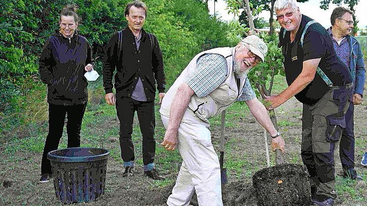 Klaus Becker und Stefan Strasser pflanzten auf dem Bienenschutzacker bei der Soli einen Bienenbaum.
