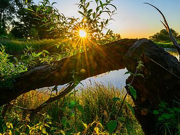 Sonnenaufgang am Fluss Oder