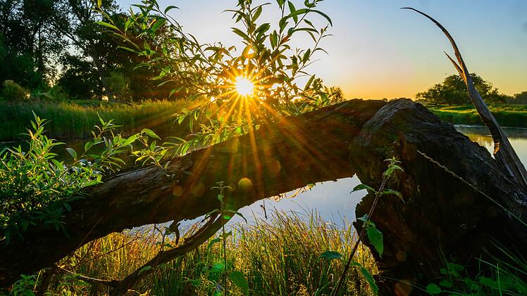 Sonnenaufgang am Fluss Oder