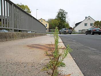 Vor einigen Wochen wuchsen noch Gräser aus einer Spalte zwischen Bordstein und Gehsteig auf der Zentbrücke.  Fotos: Thomas Malz