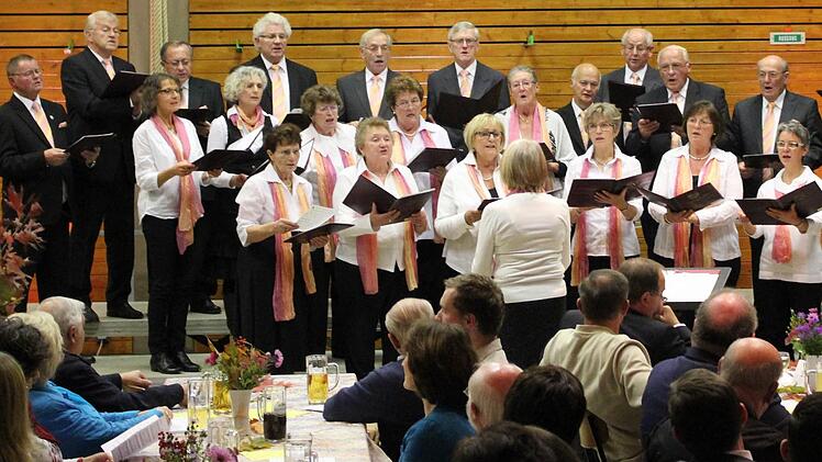 Der gemischte Chor des Gesangvereins Himmelkron unter Renate Palder. Foto: Klaus Klaschka