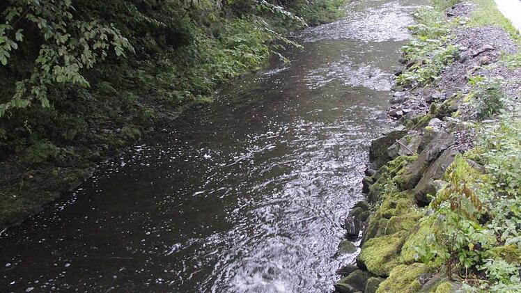 Foto: Maximilian Glas