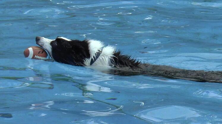 "Gleich hab ich meinen Ball!"