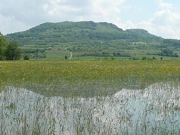 Eine überschwemmte Blumenwiese beim Walberla Foto: Klaus Fößel