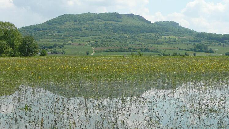 Eine überschwemmte Blumenwiese beim Walberla Foto: Klaus Fößel