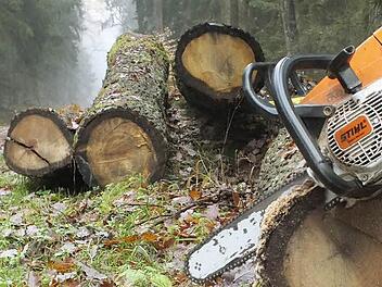 Der Markt Burkardroth muss künftig 21 400 Euro pro Jahr für die Betreuung des Gemeindewalds ausgeben. Die Arbeiten übernimmt weiterhin das Amt für Ernährung, Landwirtschaft und Forsten. Foto: Björn Hein