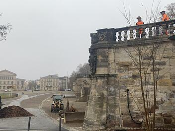 An den Arkaden/Ecke Reithallen-Platz wurde wieder eine Robinie gepflanzt.Foto: Oliver Schmidt