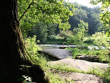 Der Dreiecksfelsen unterhalb der so genannten Todeskurve ist ein schönes Flecklein Erde. Kein Wunder, dass geplant ist, den gegenüberliegenden Hang als Kernzone mit unter Naturschutz zu stellen. Trotzdem soll die Natur allerdings erlebbar bleiben. Fotos: Ralf Ruppert